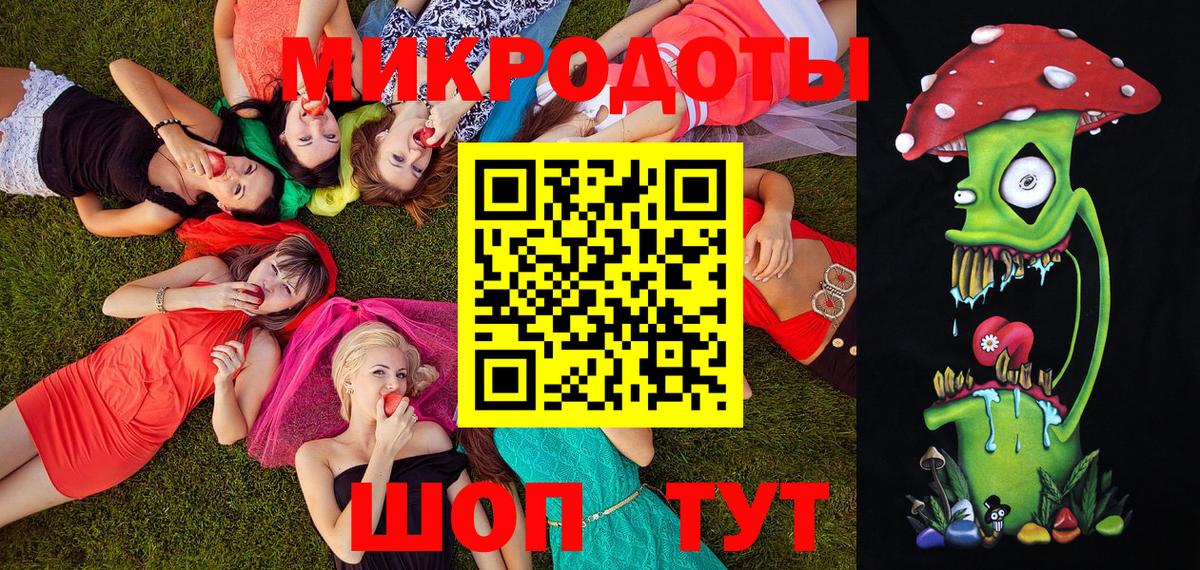 Галлюциногенные грибы Psilocybe Кольчугино