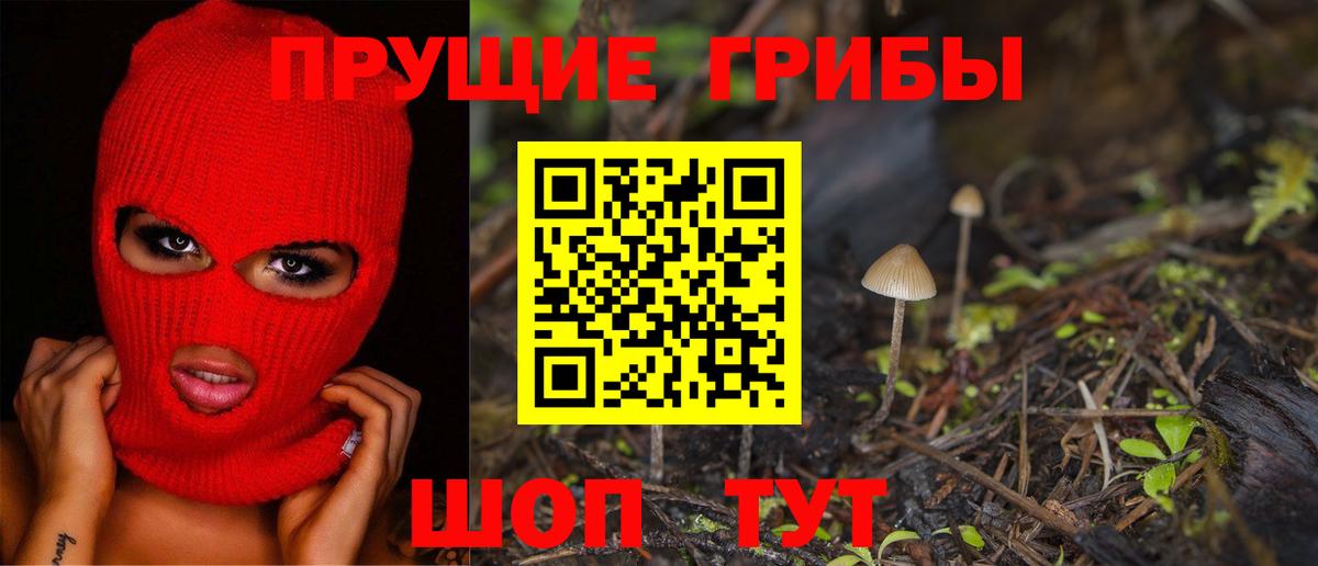 Кольчугино  Галлюциногенные грибы Magic Shrooms  Вход с VPN 